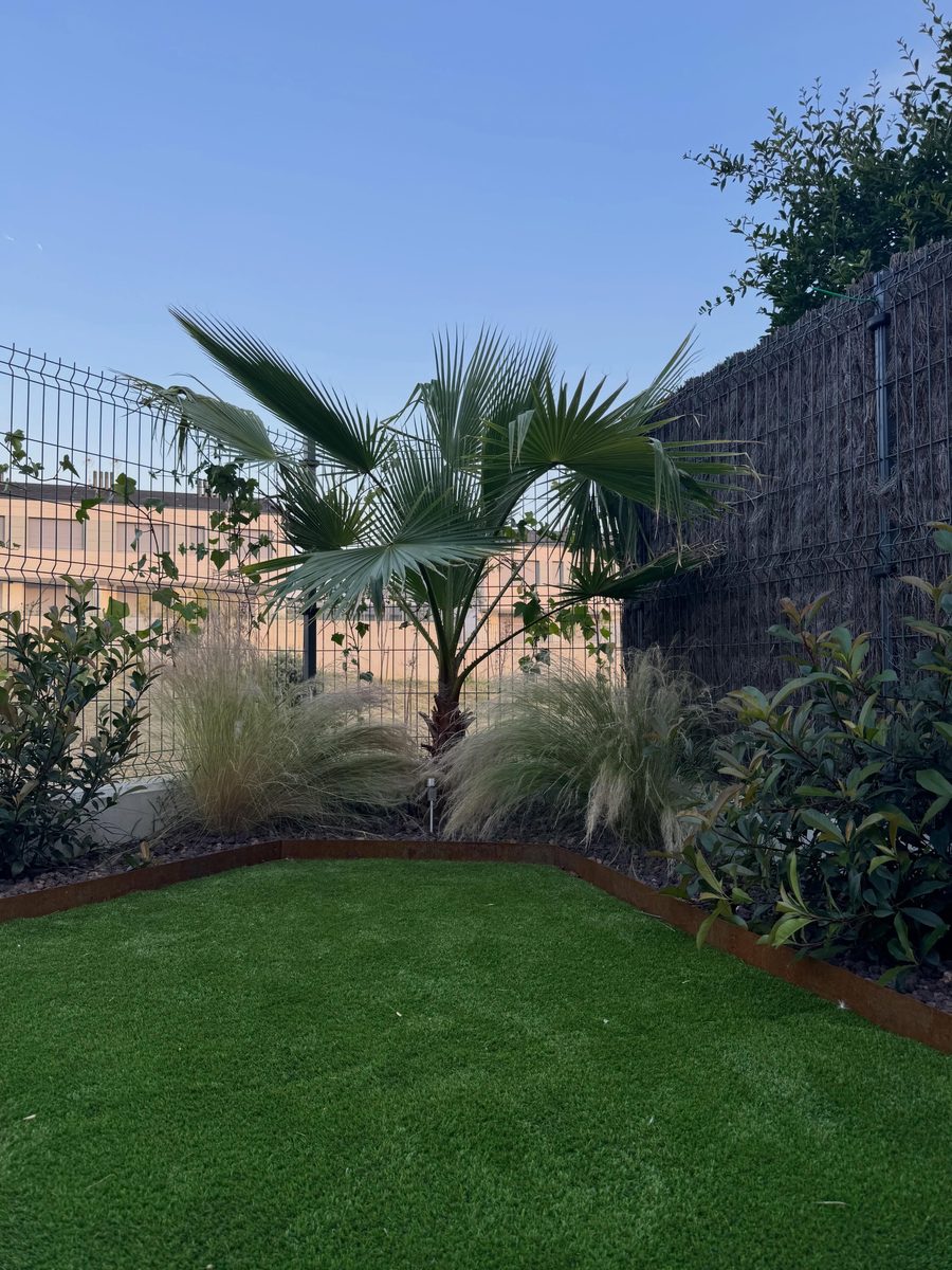 Palmera y gramíneas recién plantadas sobre el césped nuevo