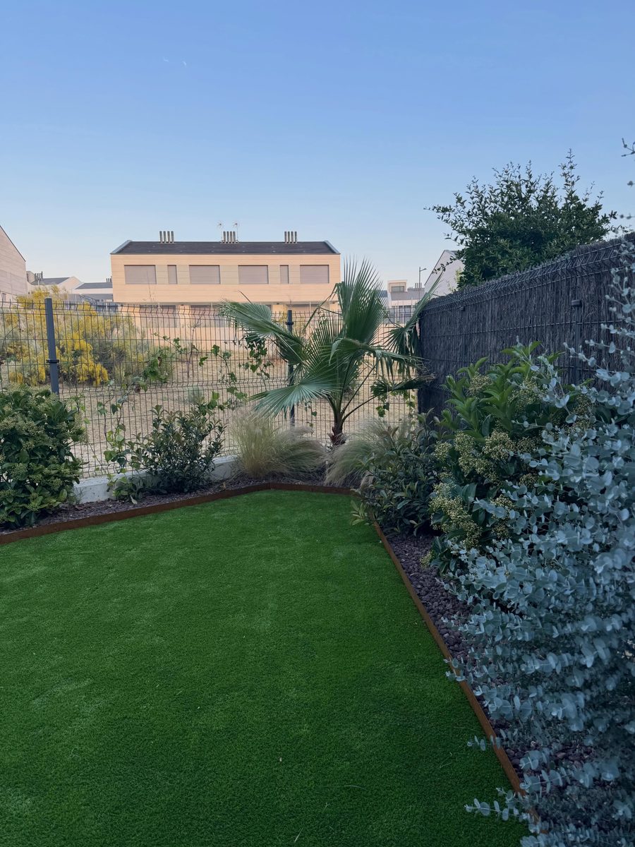 El jardín a última hora de la tarde, con la palmera y los arbustos asentados